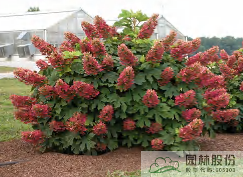 彩运网(中国游)官方网站