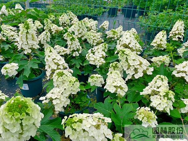 彩运网(中国游)官方网站