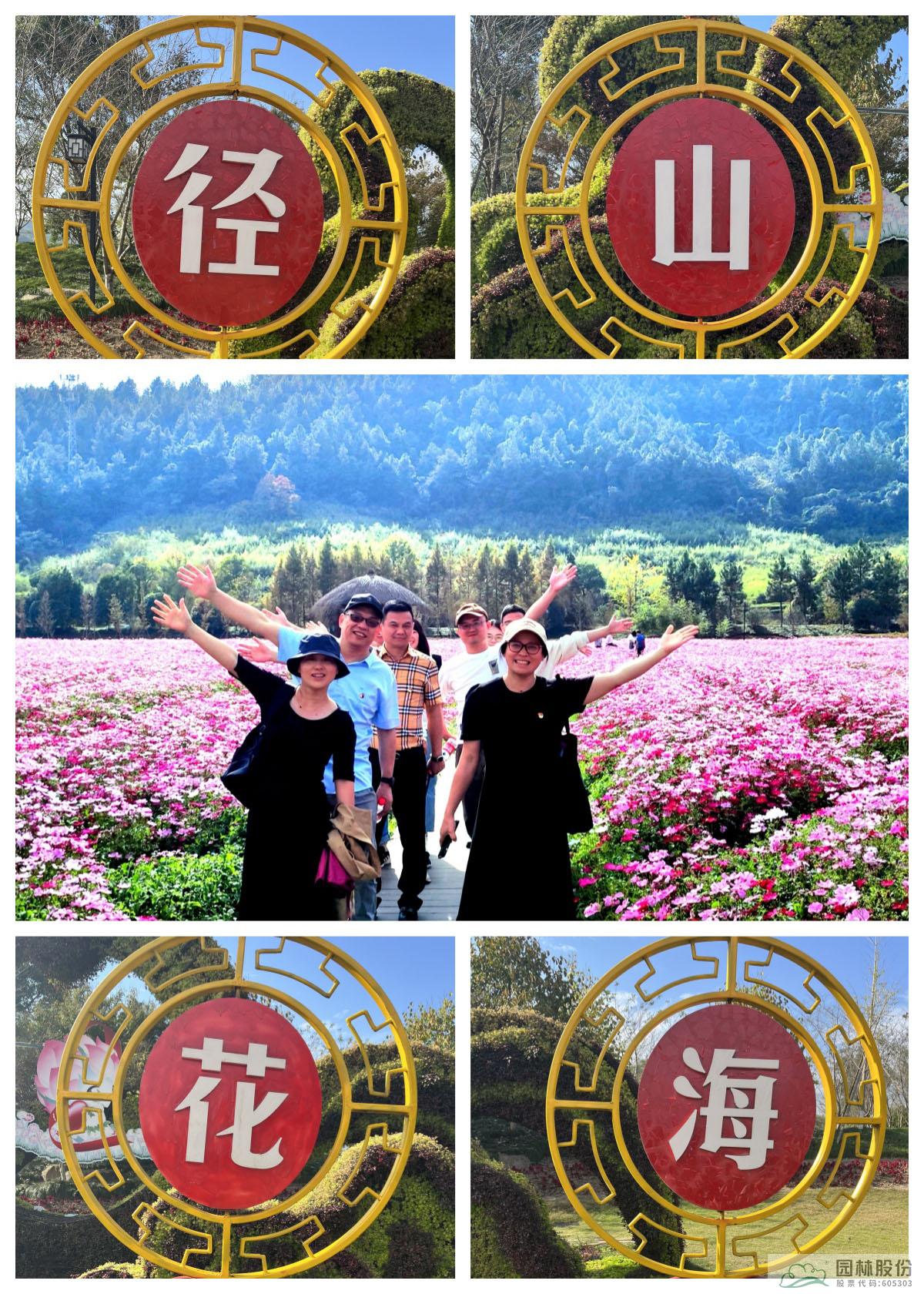 彩运网(中国游)官方网站