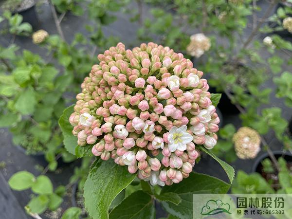 彩运网(中国游)官方网站