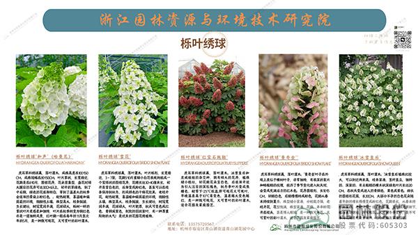 彩运网(中国游)官方网站