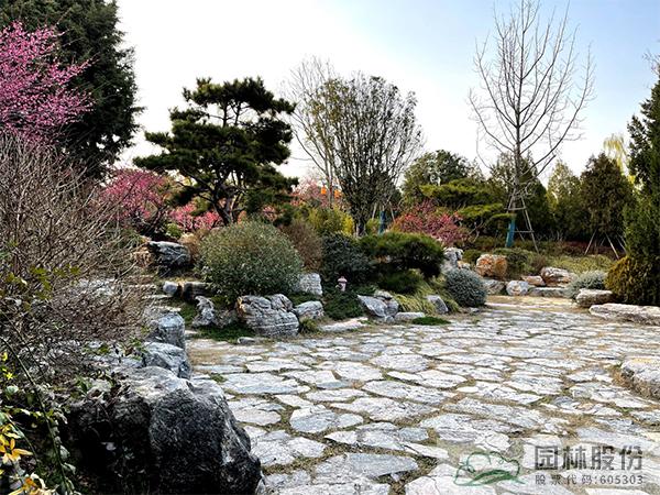 彩运网(中国游)官方网站