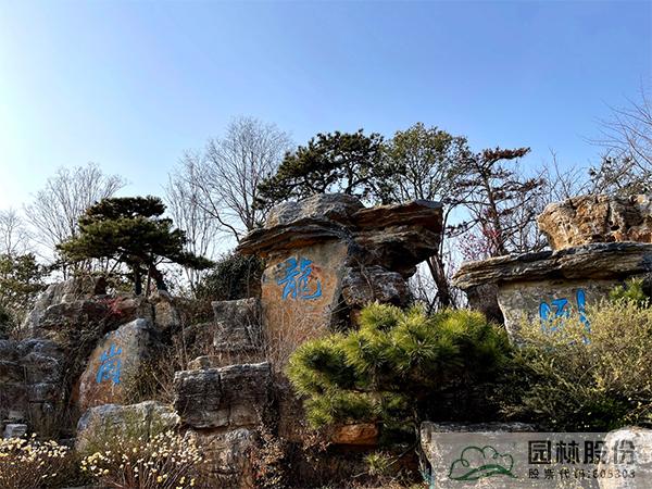 彩运网(中国游)官方网站