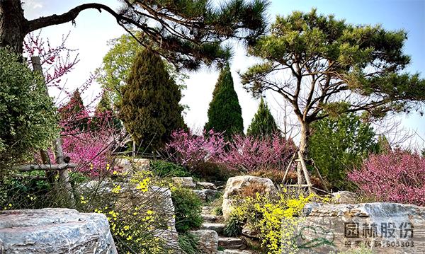 彩运网(中国游)官方网站