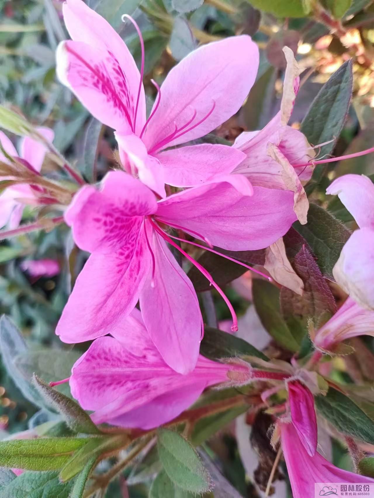 彩运网(中国游)官方网站