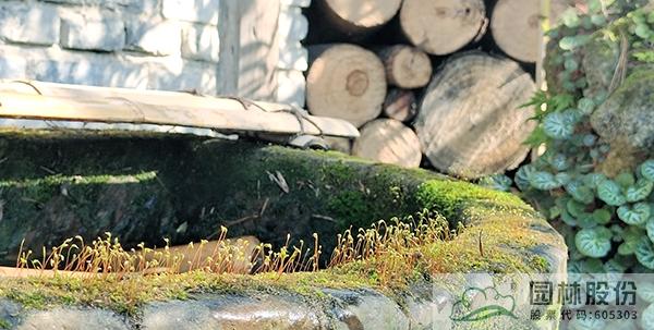 彩运网(中国游)官方网站