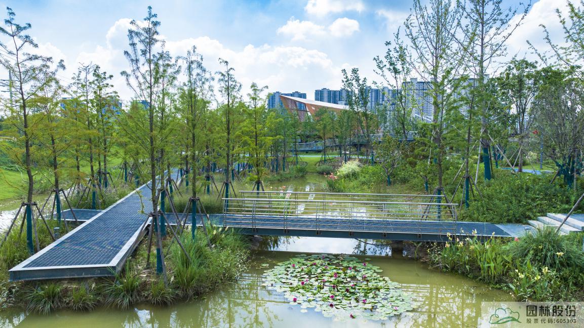 彩运网(中国游)官方网站