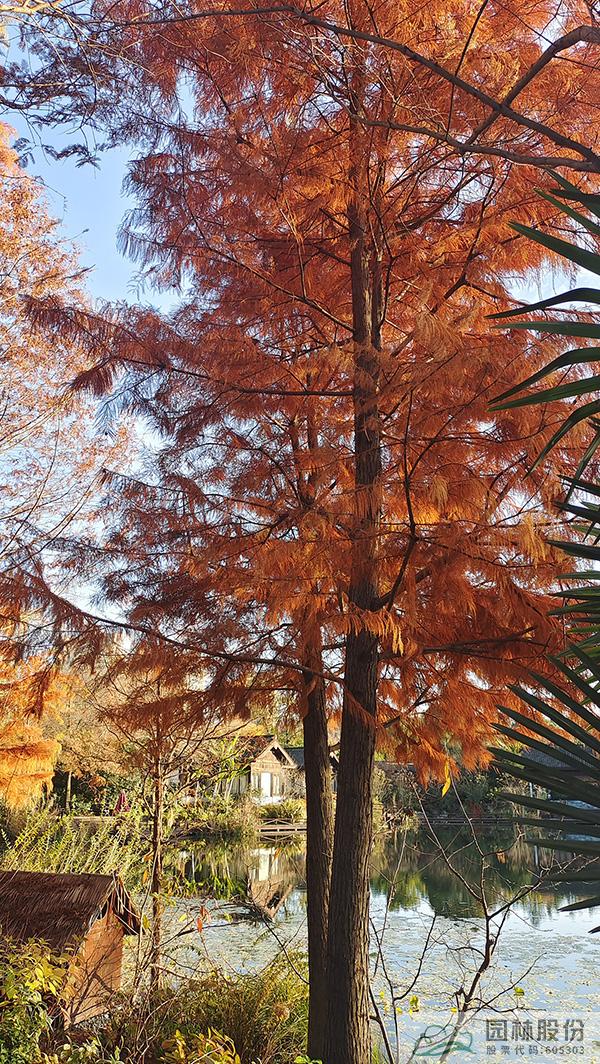 彩运网(中国游)官方网站