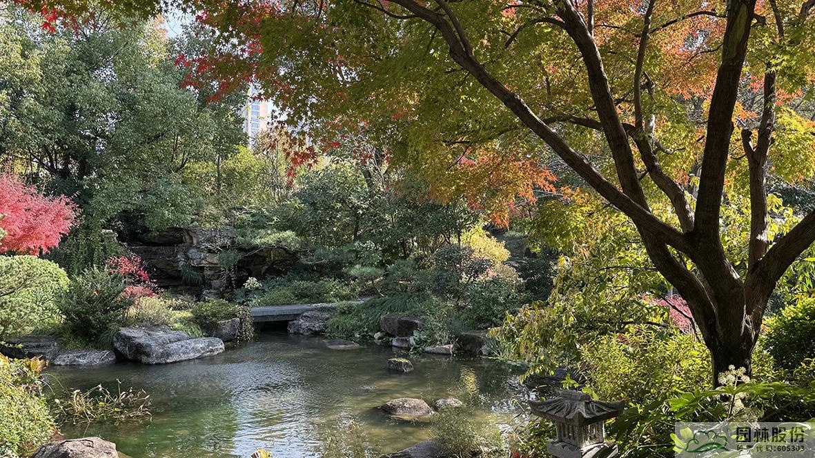 彩运网(中国游)官方网站