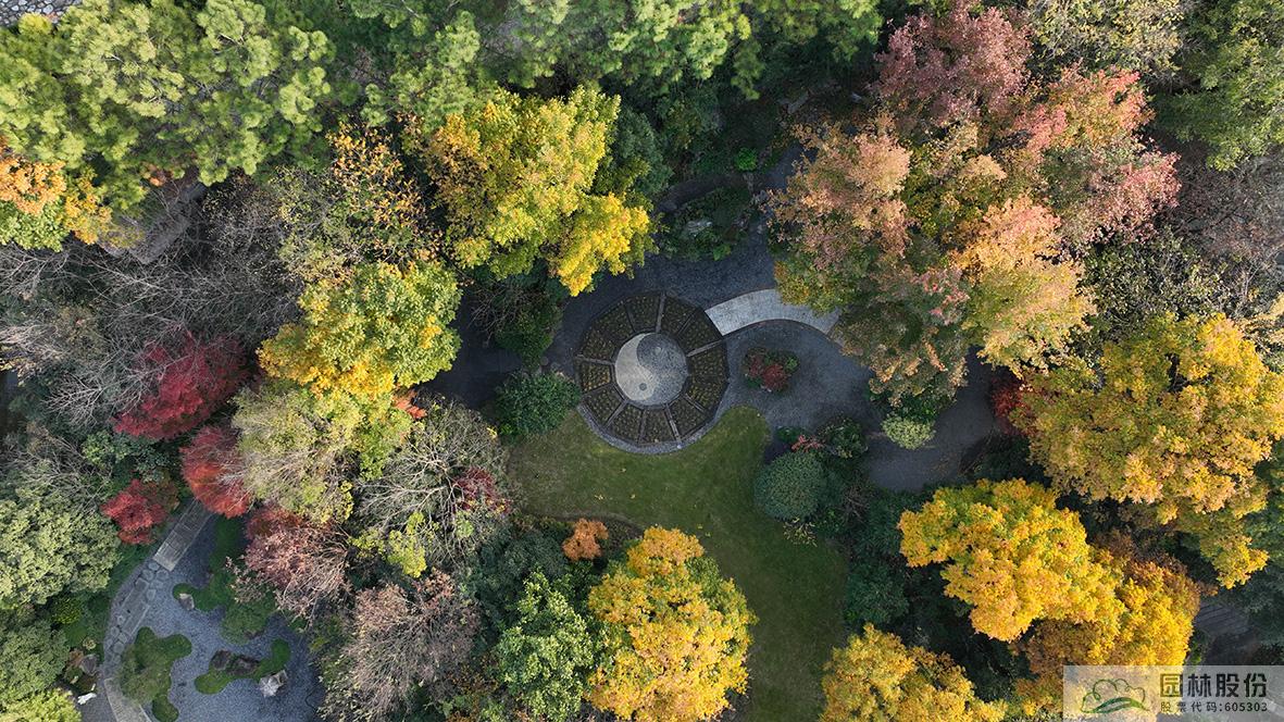 彩运网(中国游)官方网站