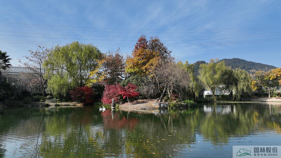 彩运网(中国游)官方网站