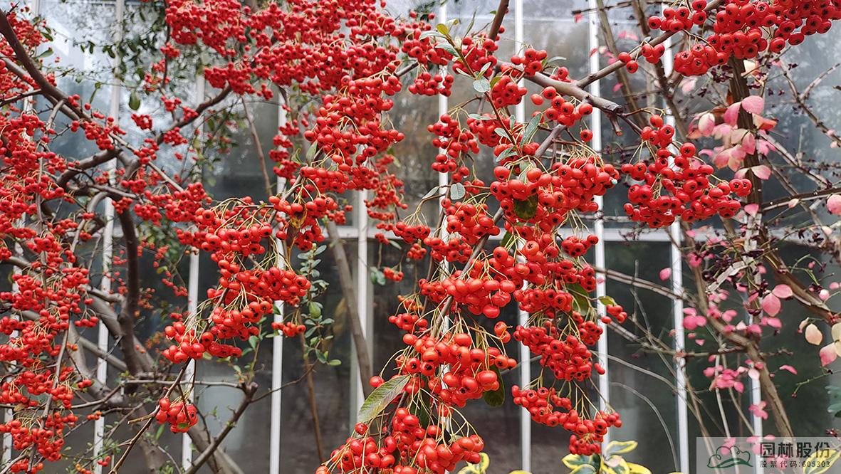 彩运网(中国游)官方网站