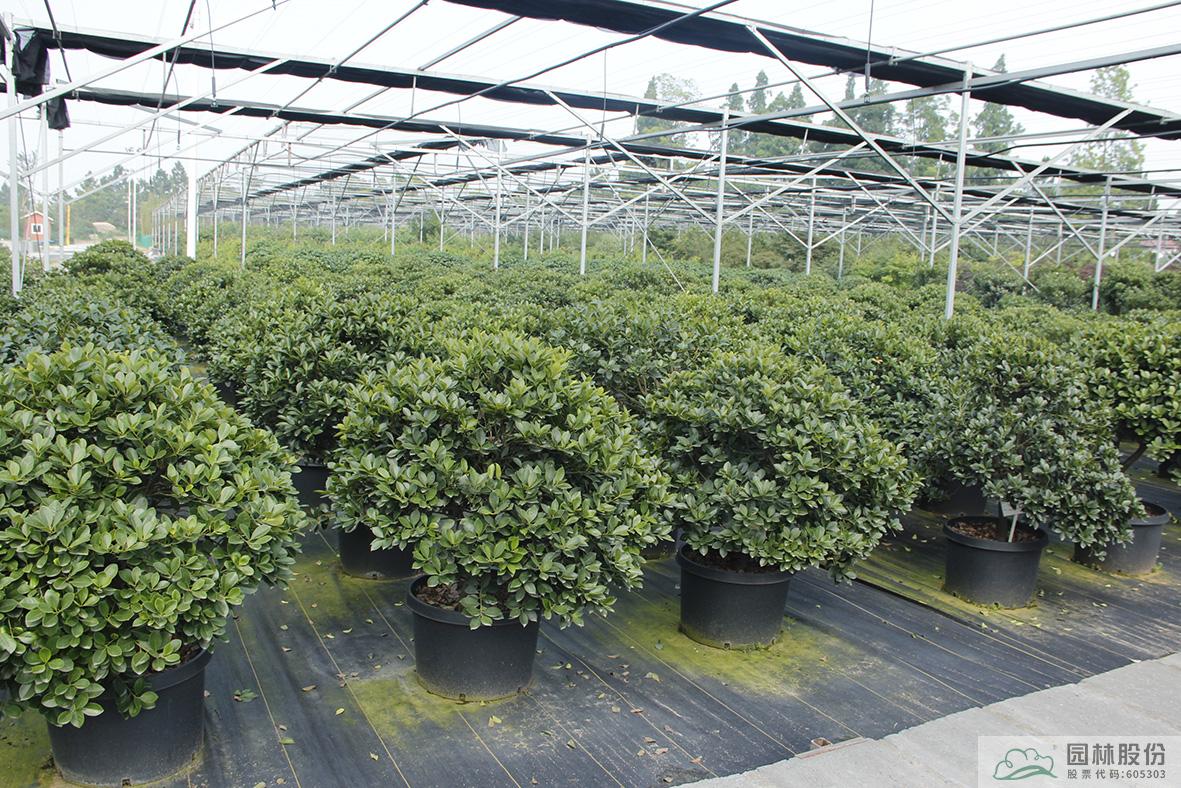 彩运网(中国游)官方网站