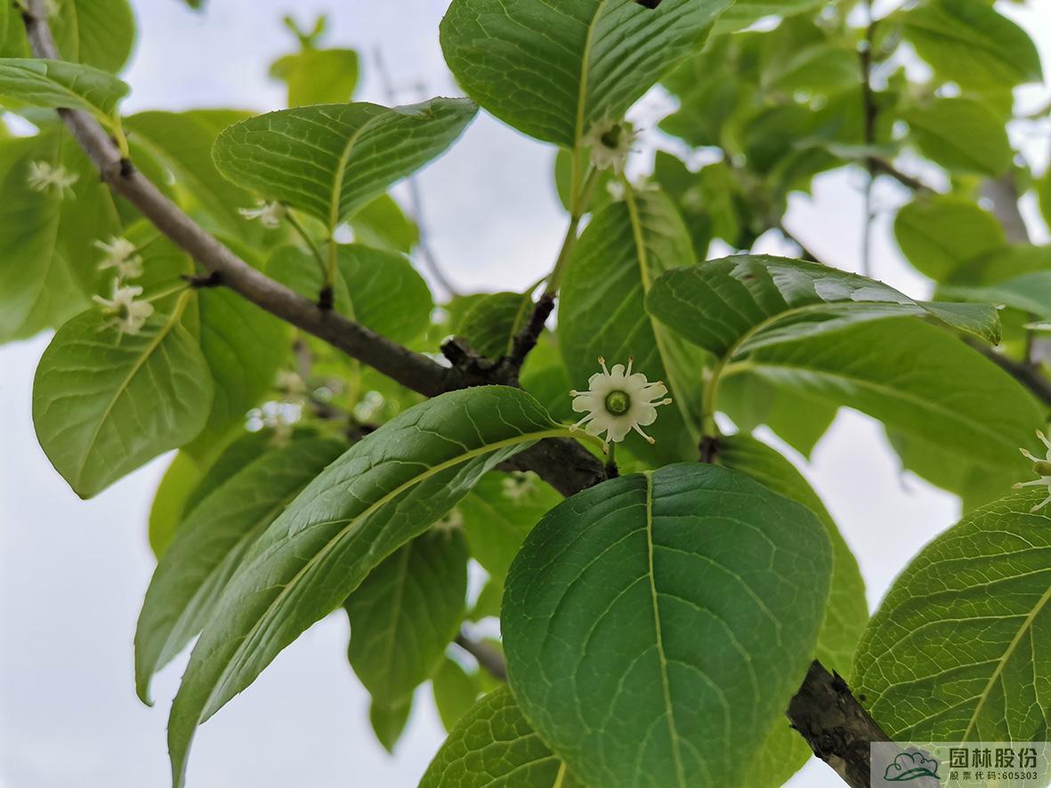 彩运网(中国游)官方网站