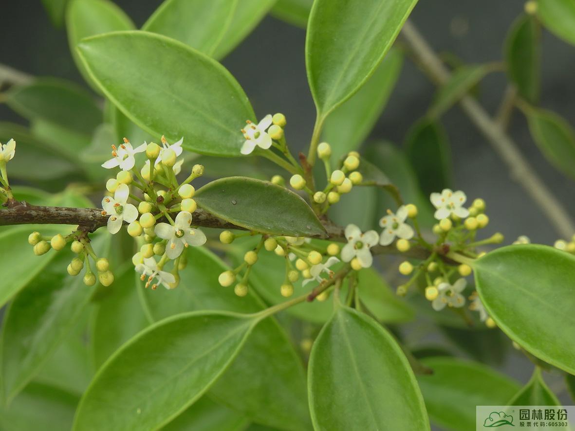 彩运网(中国游)官方网站