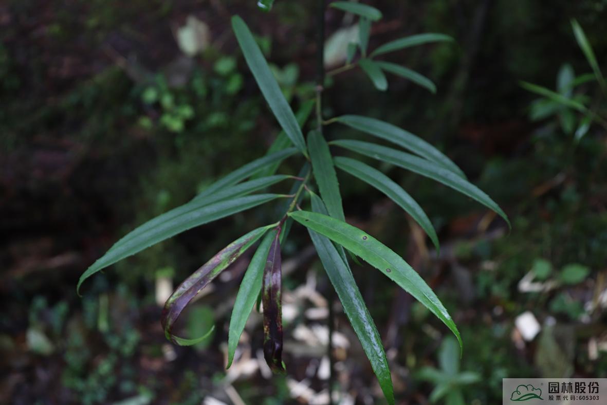 彩运网(中国游)官方网站