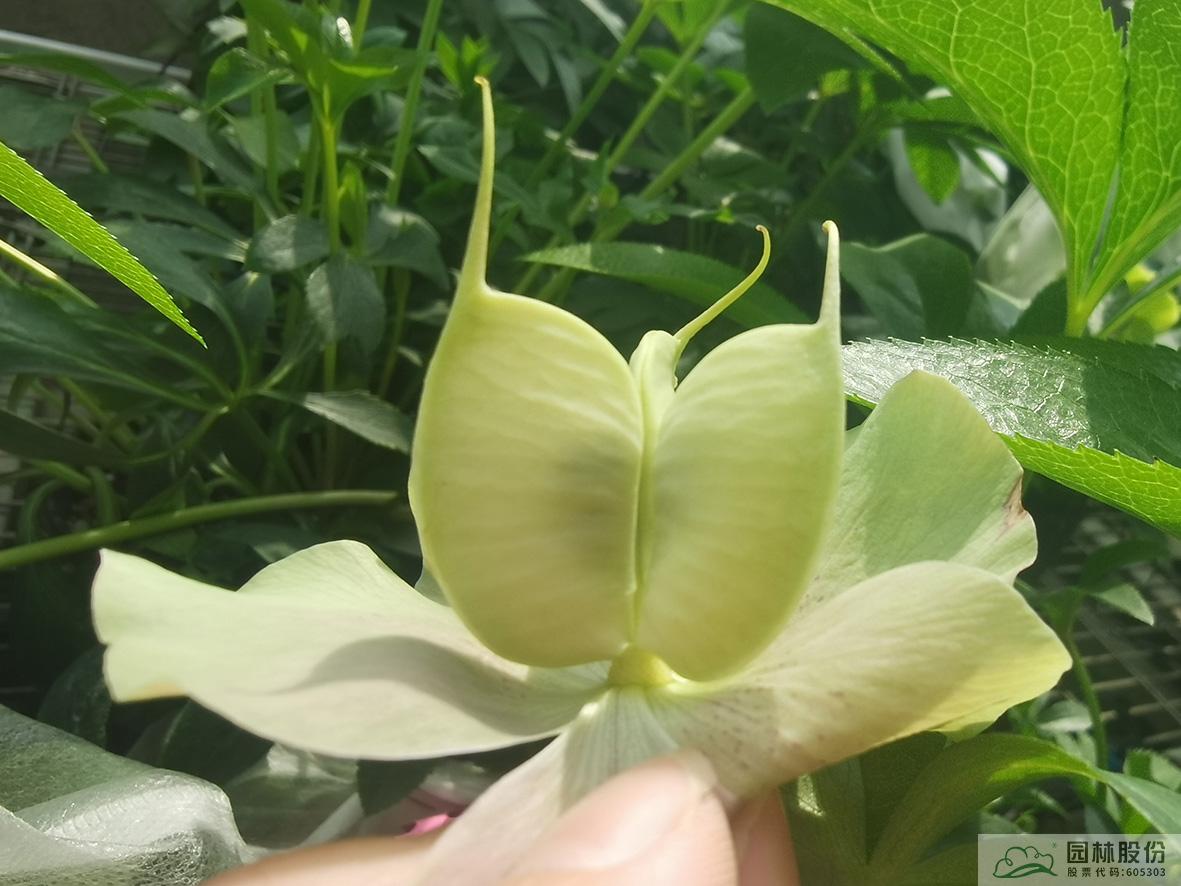 彩运网(中国游)官方网站