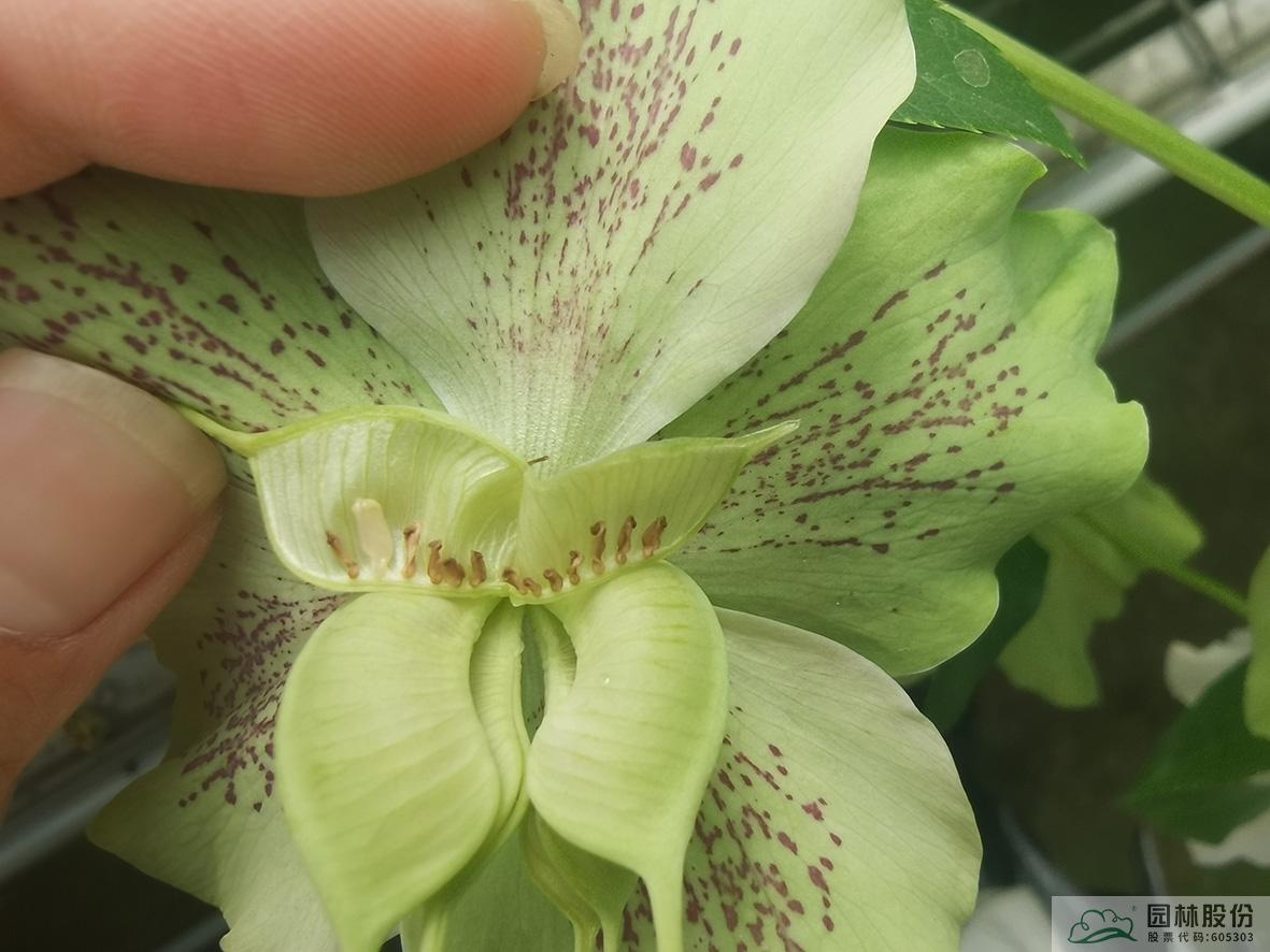 彩运网(中国游)官方网站