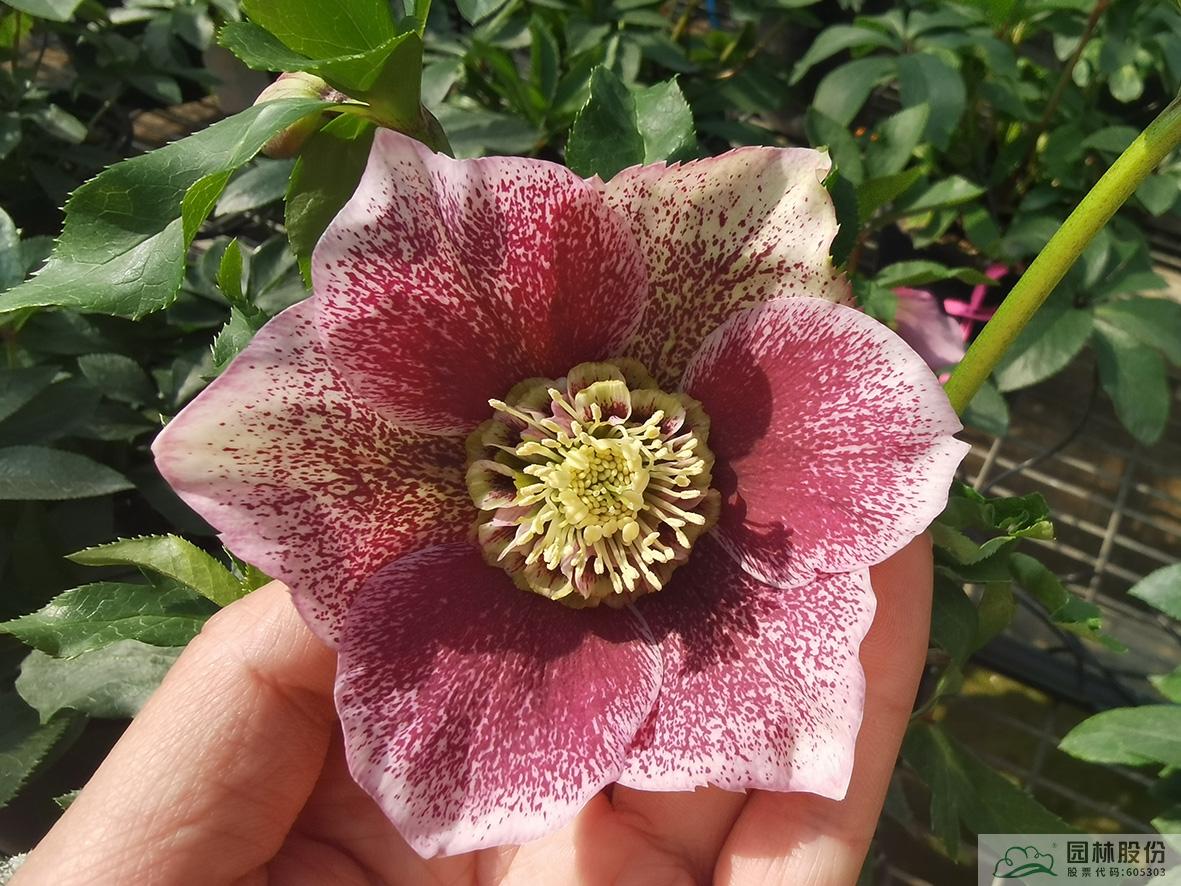 彩运网(中国游)官方网站