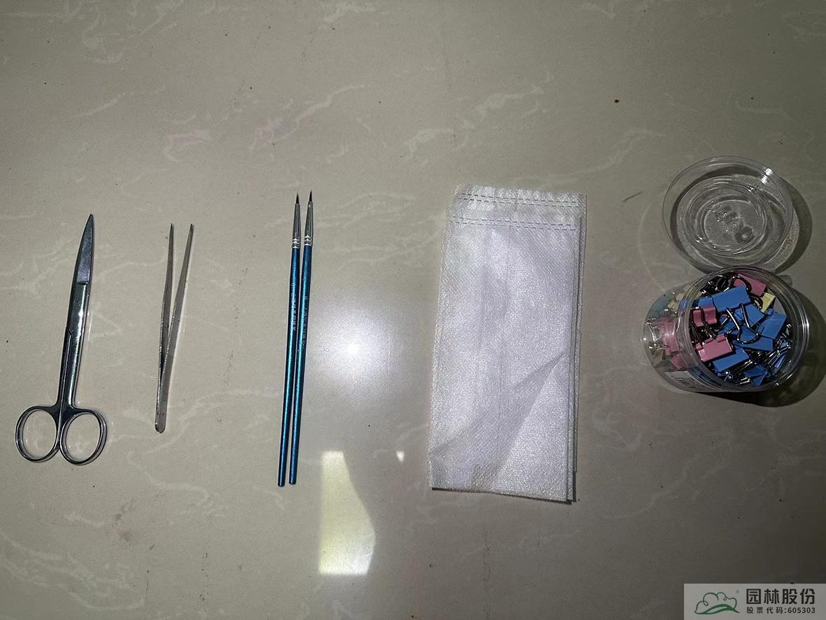 彩运网(中国游)官方网站