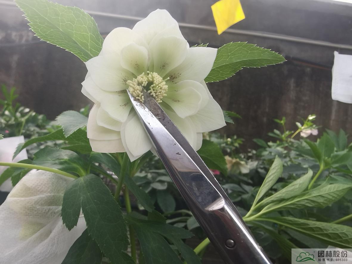 彩运网(中国游)官方网站