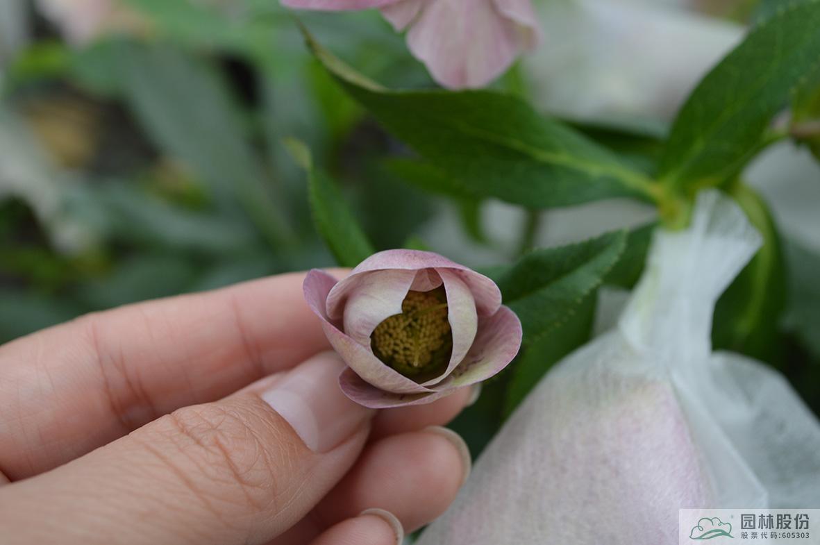 彩运网(中国游)官方网站