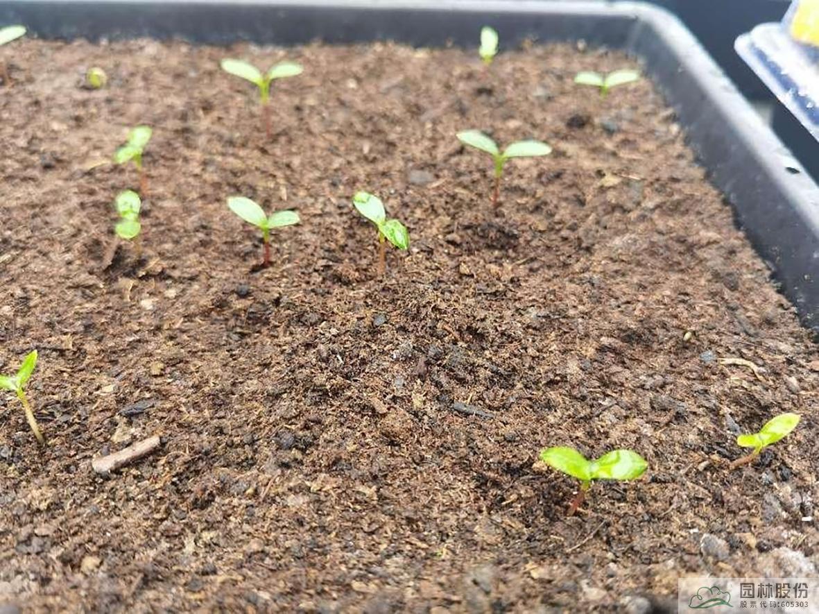 彩运网(中国游)官方网站