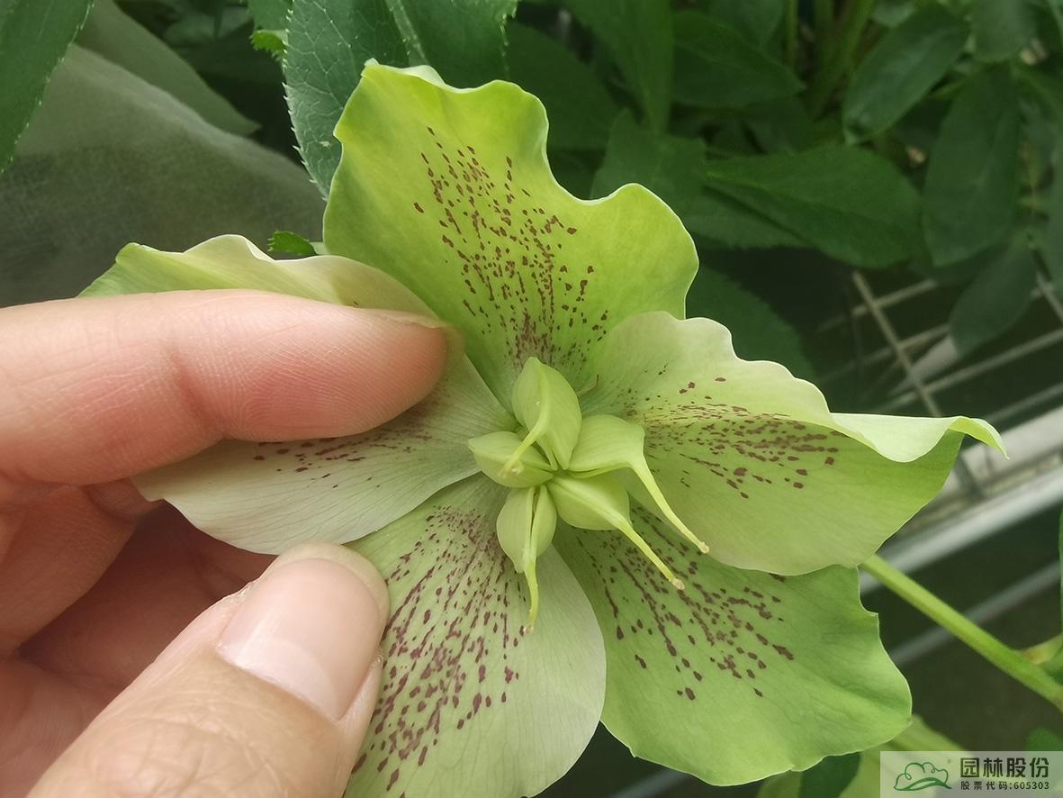 彩运网(中国游)官方网站