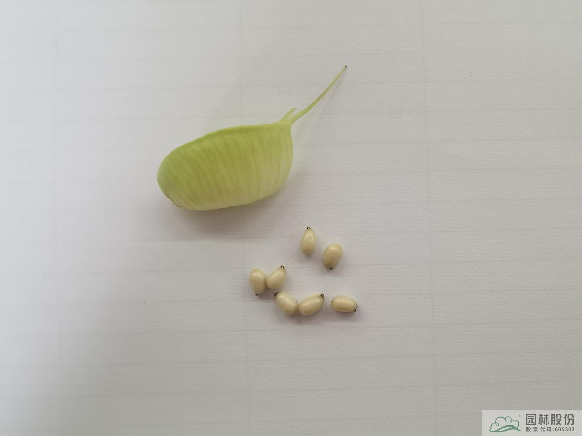 彩运网(中国游)官方网站