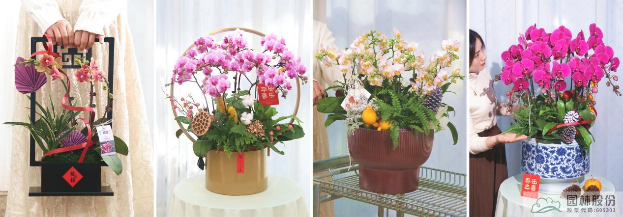 彩运网(中国游)官方网站