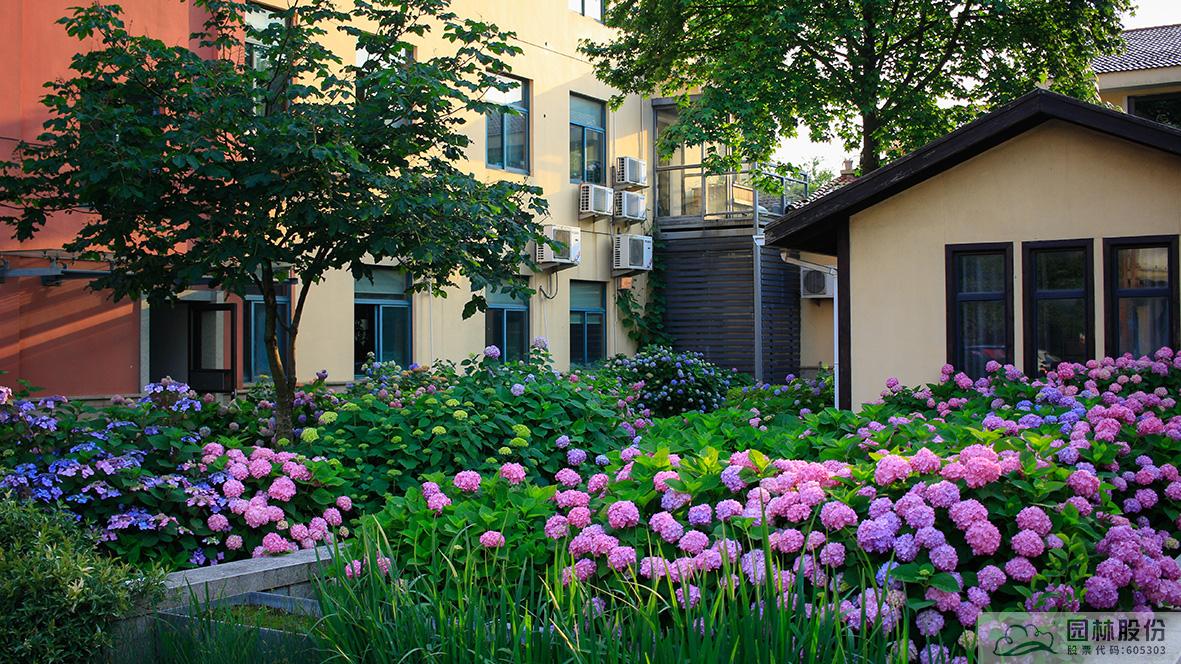 彩运网(中国游)官方网站