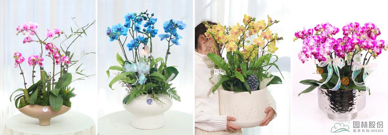 彩运网(中国游)官方网站