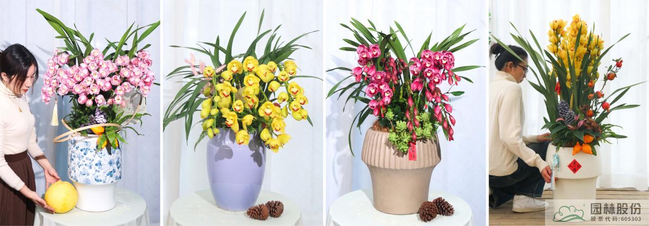 彩运网(中国游)官方网站