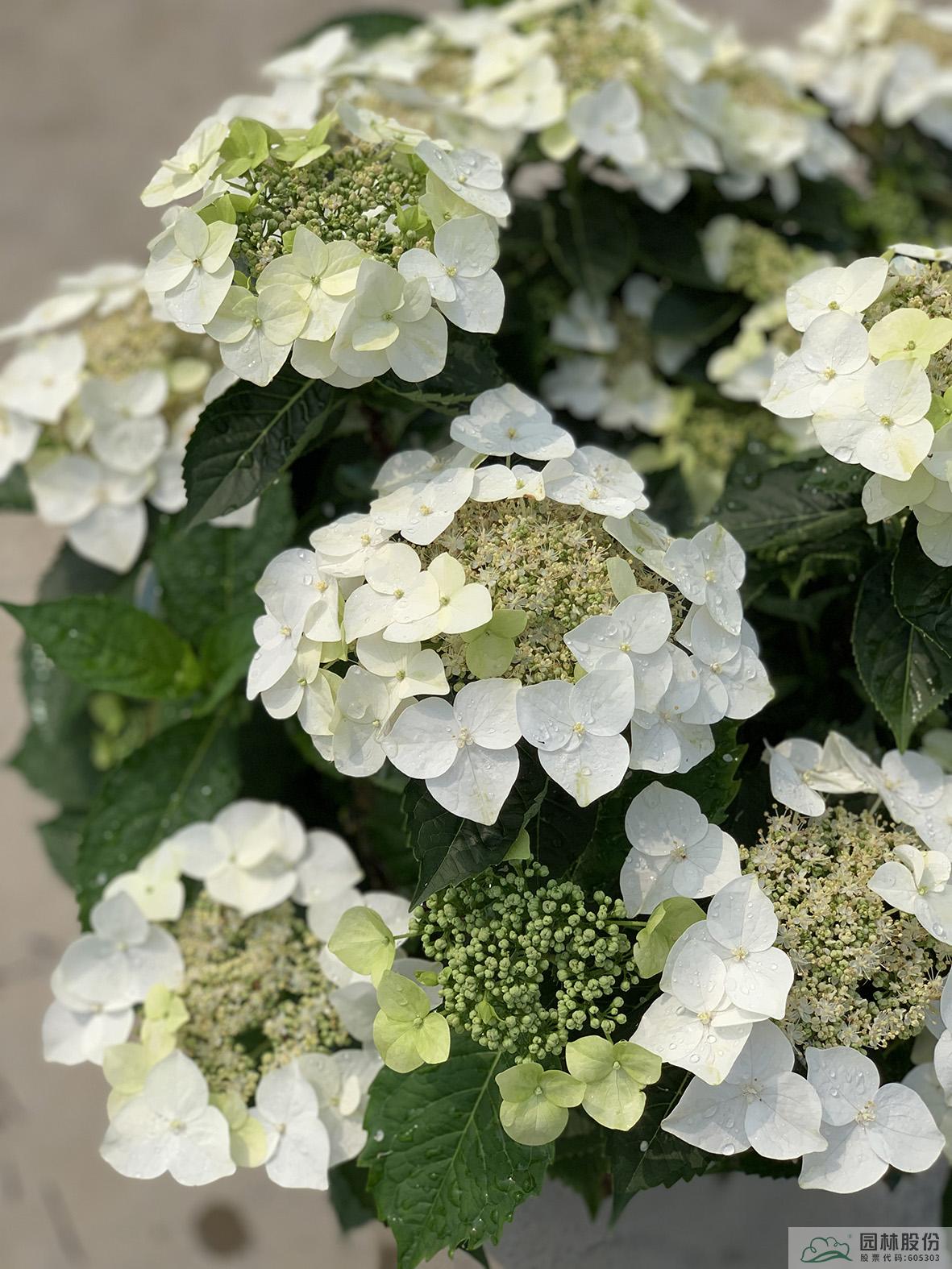 彩运网(中国游)官方网站