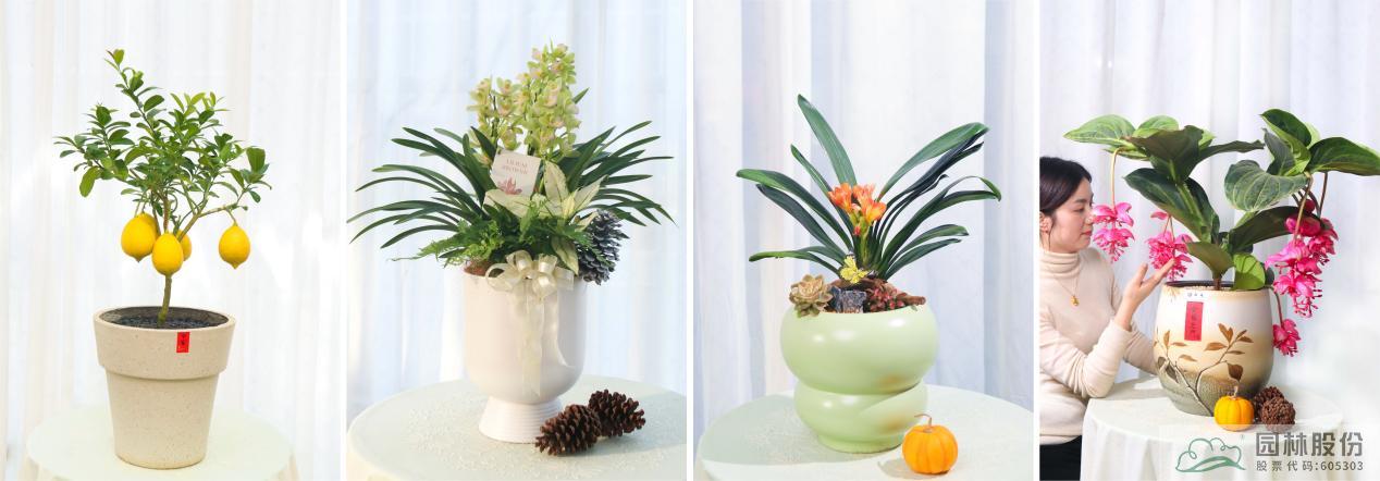 彩运网(中国游)官方网站