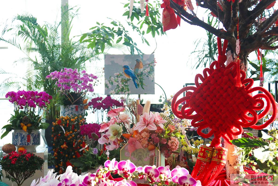 彩运网(中国游)官方网站