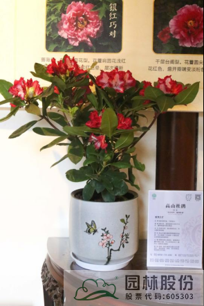 彩运网(中国游)官方网站