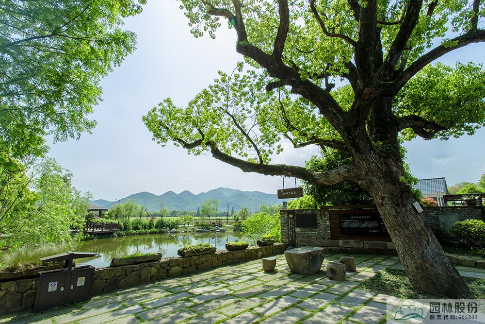 彩运网(中国游)官方网站