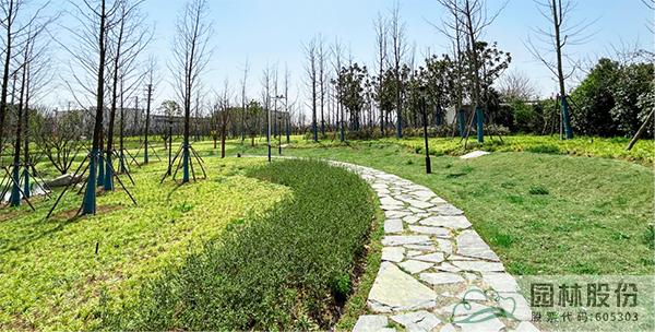 彩运网(中国游)官方网站