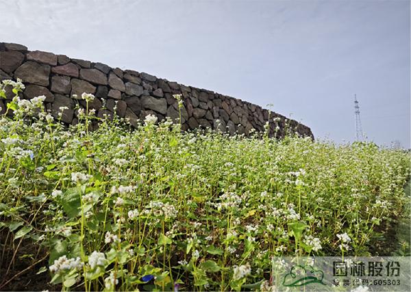 彩运网(中国游)官方网站