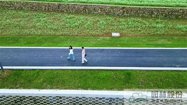 彩运网(中国游)官方网站