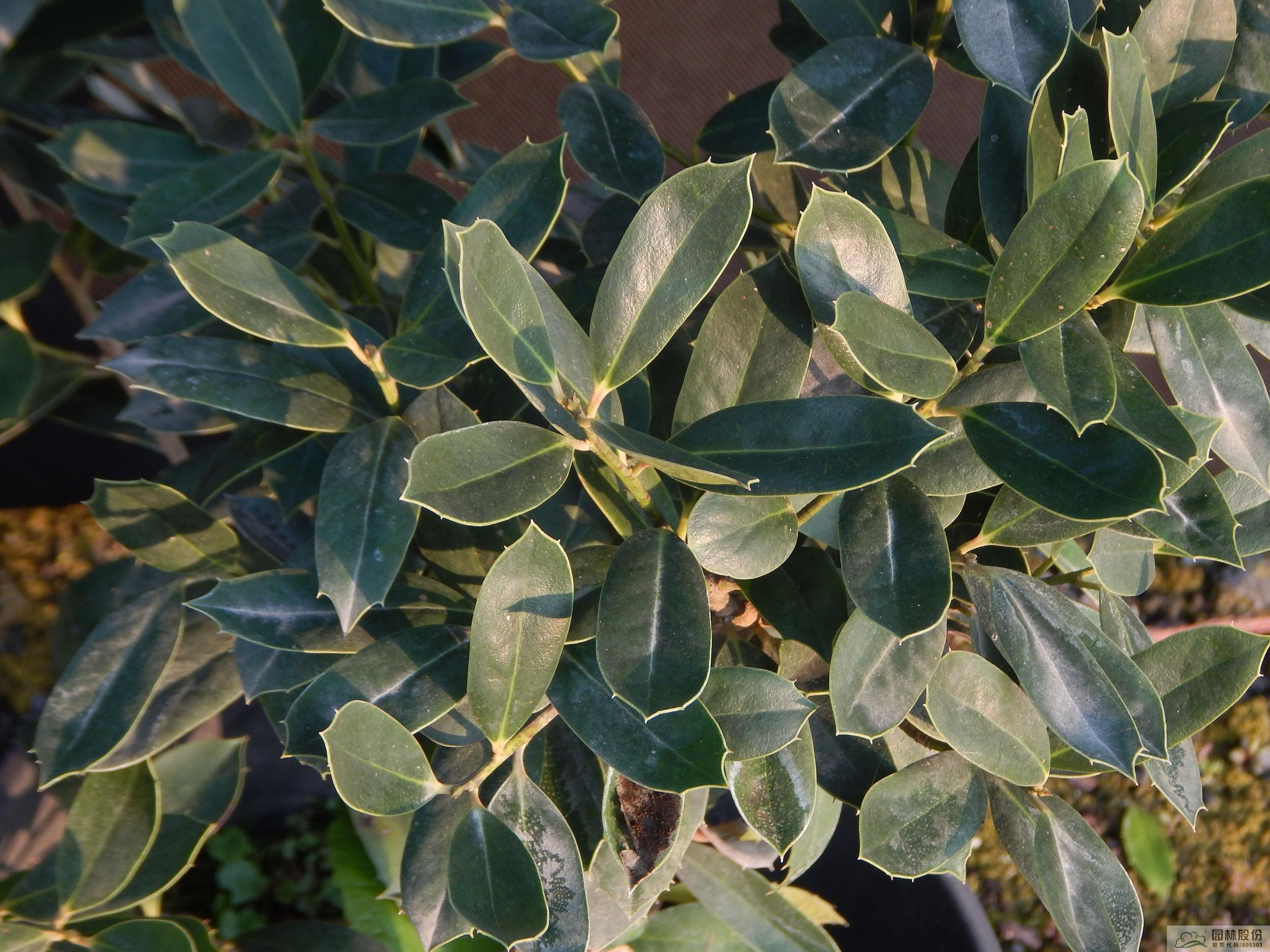 彩运网(中国游)官方网站