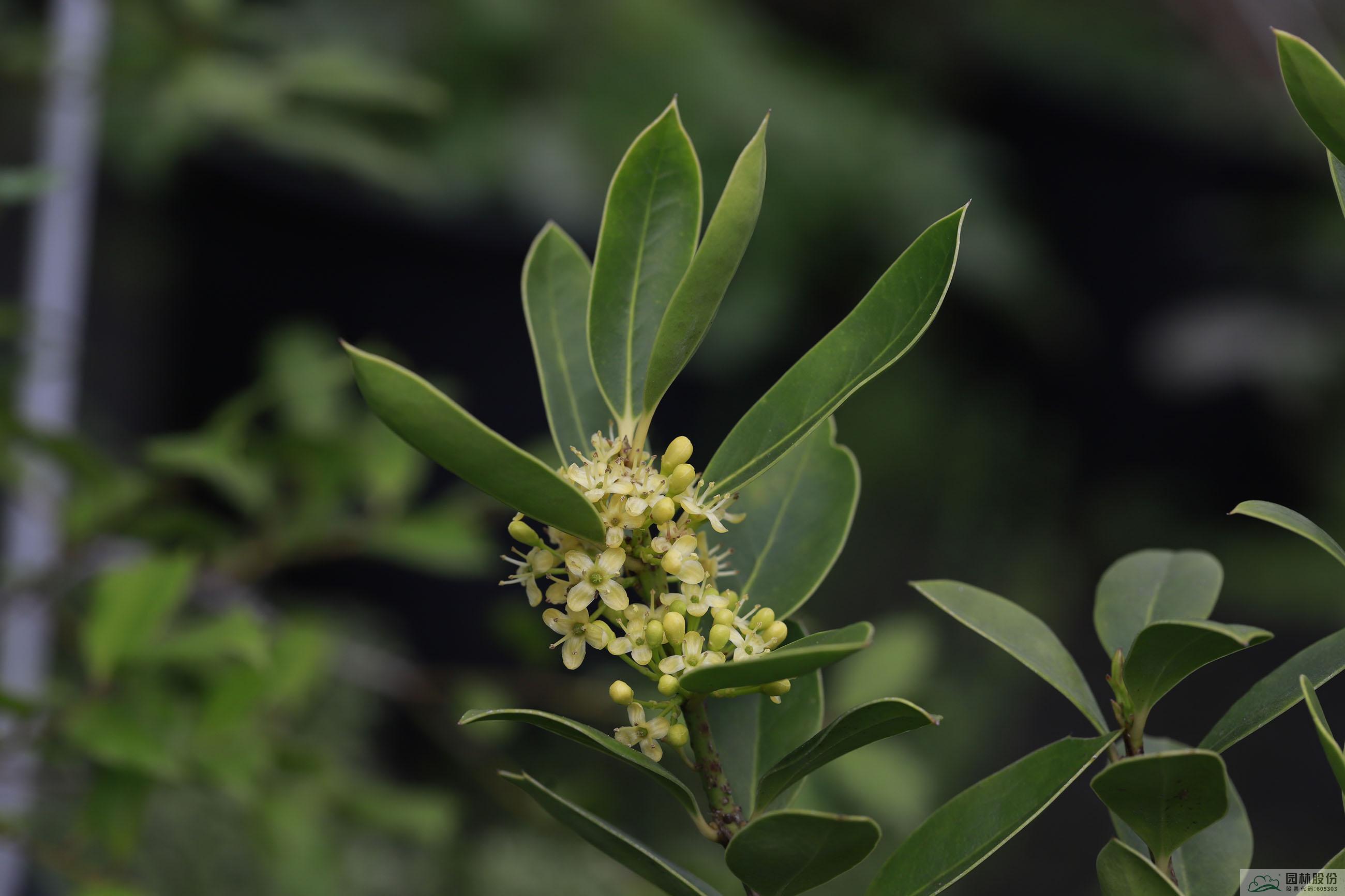 彩运网(中国游)官方网站