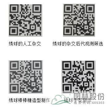 彩运网(中国游)官方网站