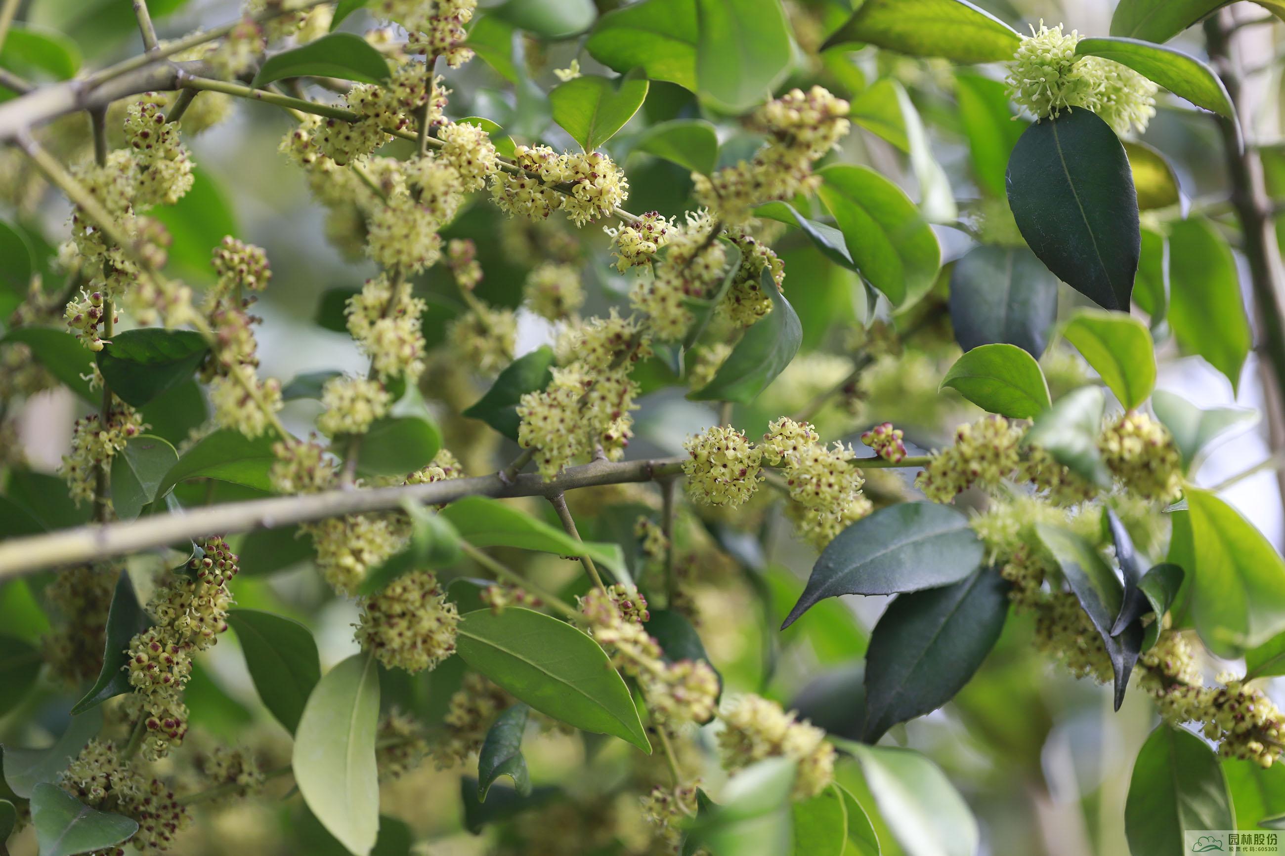 彩运网(中国游)官方网站