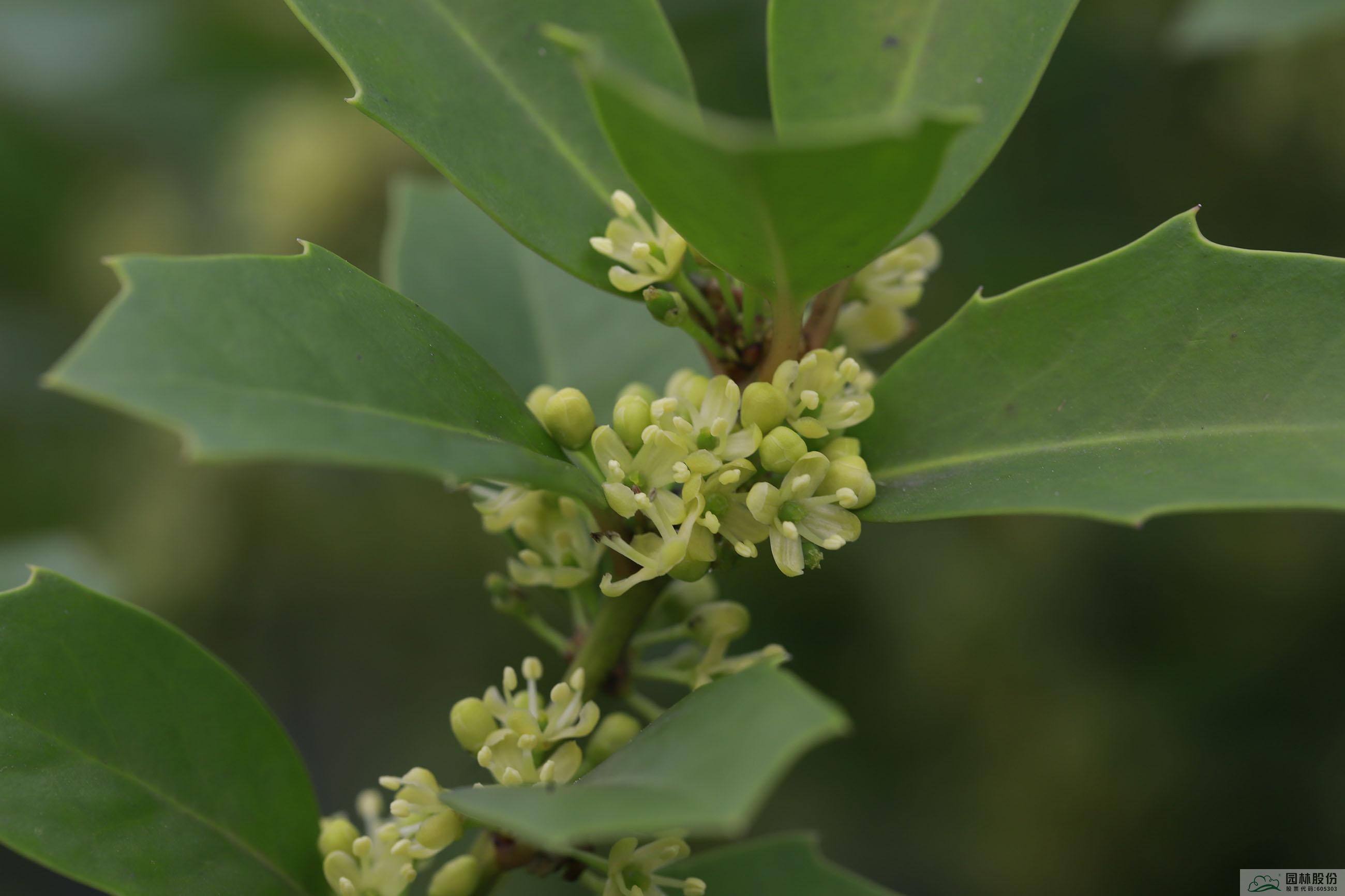 彩运网(中国游)官方网站