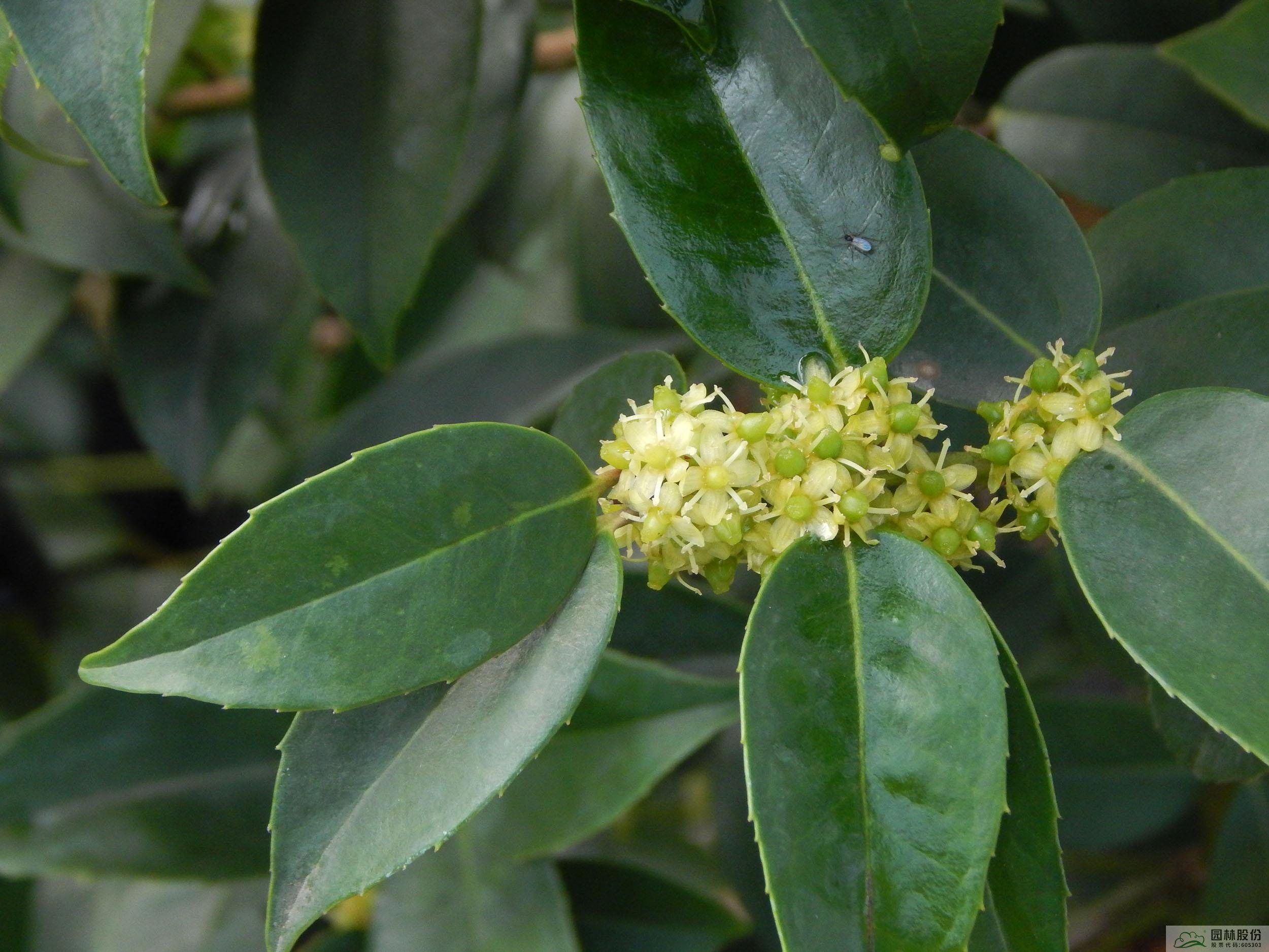 彩运网(中国游)官方网站