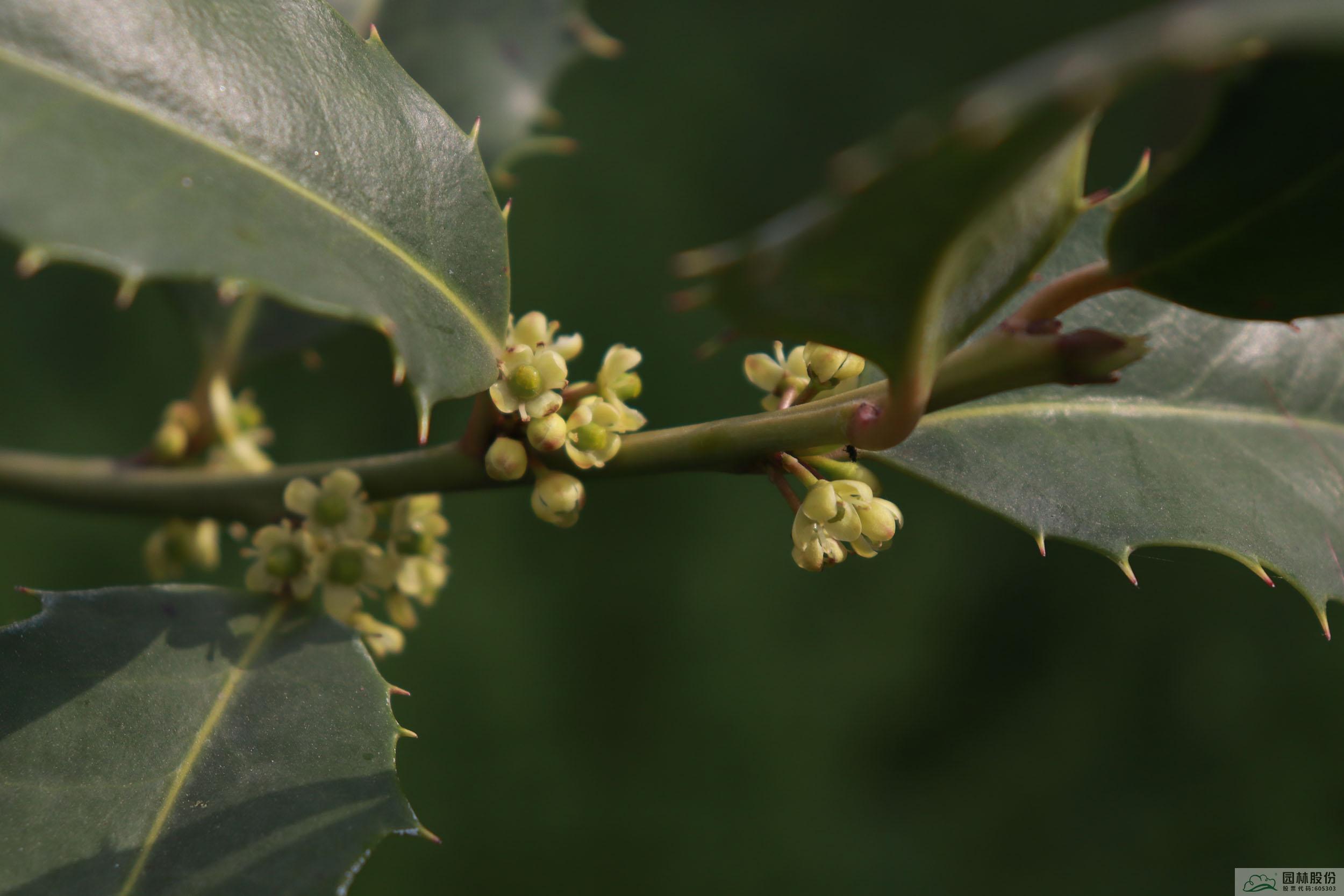 彩运网(中国游)官方网站