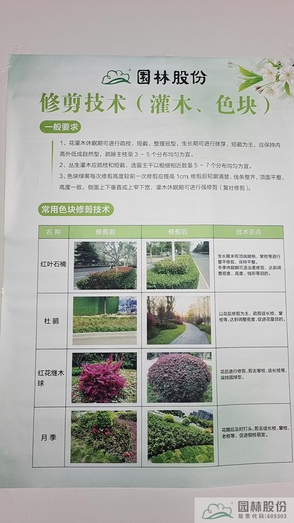 彩运网(中国游)官方网站