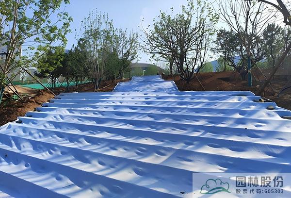 彩运网(中国游)官方网站